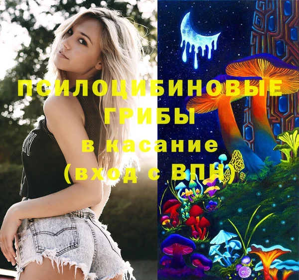 дурь Алексеевка